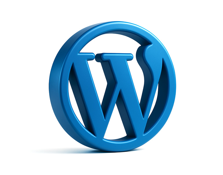 WordPress 开发